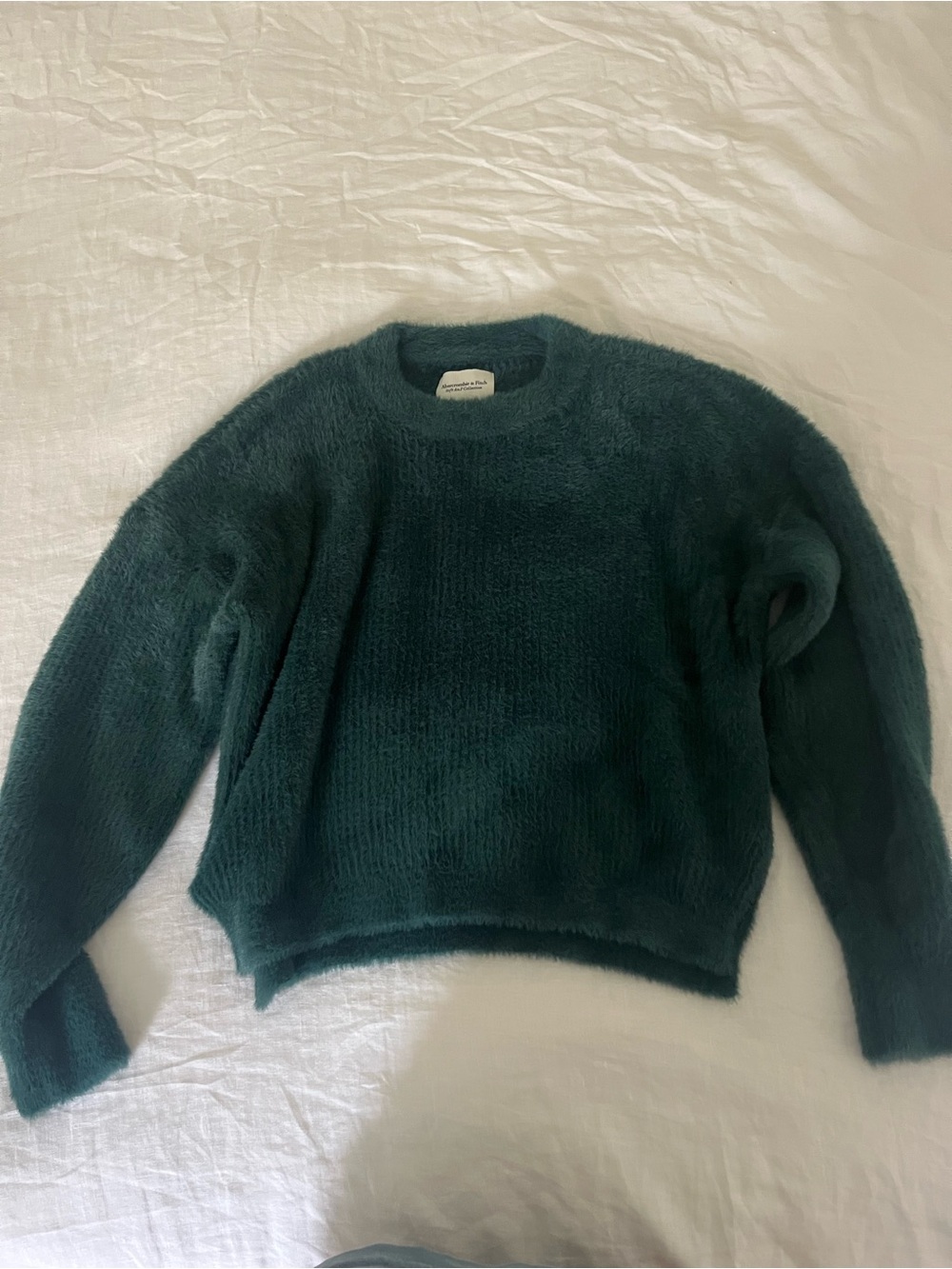 Abercrombie & Fitch Green Crewneck Sweater